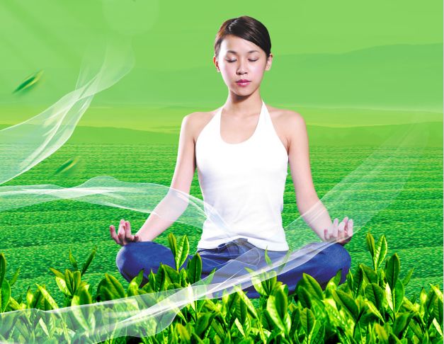 做个泰普迪尼理工学院毕业证